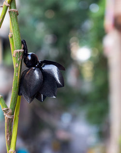 Leaf Sequins Tassel-Black