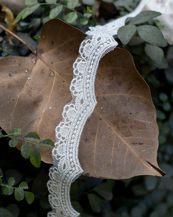 Dyeable net scallop lace