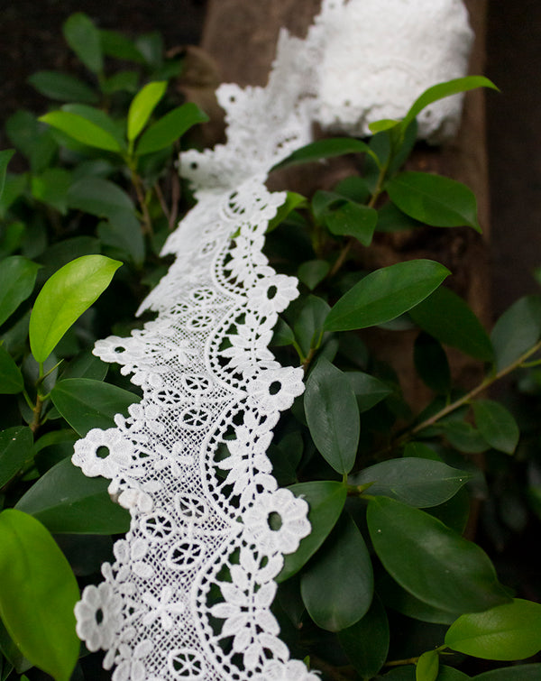 Dyeable cotton lace designer scallops